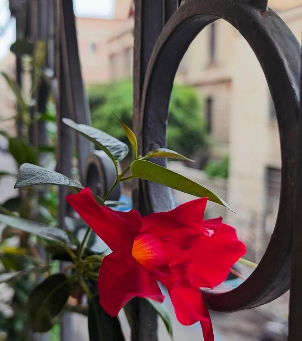 Art Palace Apartment City Center Catania-Fontanarossai nemzetközi repülőtér Kültér fotó